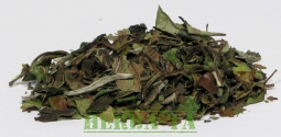 China White Pai Mu Tan (Bai Mu Dan) Qingshan ORGANIC! 