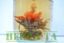 Lily Fairy herbata kwitnaca , cena za 1 kg