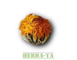 Marigold Flower Ball cena za 1 kg