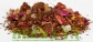 Rooibos Good Luck