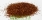 Rooibos Naturalny Long Cut Organic !