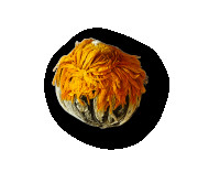 Marigold Flower Ball cena za 1 kg