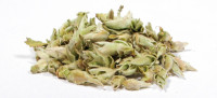 Ya Bao Wild Tea Buds