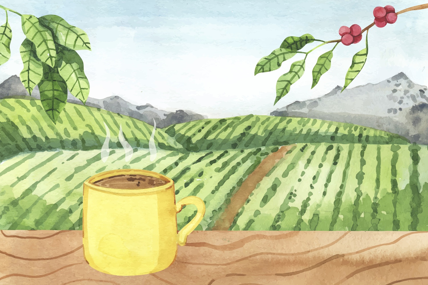 Terroir w kawie i herbacie - dlaczego miejsce uprawy ma kluczowe znaczenie